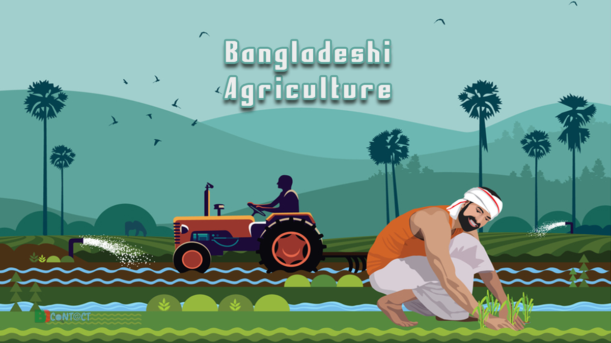 Agriculture In Bangladesh: Based On Our Perspective